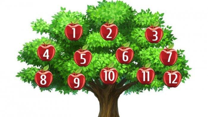 Tes Kepribadian: Pilih Satu Buah Apel dan Cari Tahu Apakah Keinginanmu akan Terwujud?