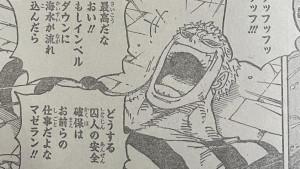 Doflamingo-Spoiler-Manga-One-Piece-1114.jpg