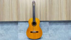 Gitar-Sasak.jpg
