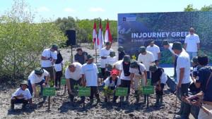 Mandalika_Mangrove_Sanctuary_3266798.jpg