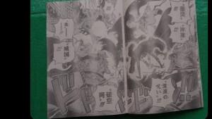 ONE-PIECE-1163.jpg