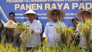 Panen-raya-di-Lapas-Terbuka-Lombok-Tengah.jpg
