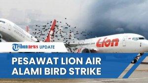 Pesawat-Lion-Air-alambi-bird-strike.jpg