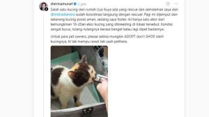 Postingan-Sherina-Munaf-yang-evakuasi-kucing-milik-Uya-Kuya.jpg