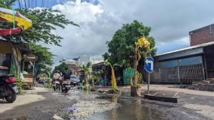 Sejumlah-pohon-pisang-yang-ditanam-di-jalan-berlubang-di-Desa-Kediri.jpg