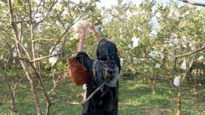 WISATA-AGROWISATA-32.jpg