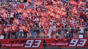 fans-mark-marques.jpg