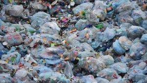 ilustrasi-sampah.jpg