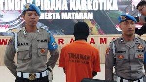 narkoba-mahasiswa-dompu-28-ganja.jpg