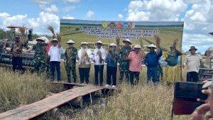 panen-cetak-sawah-kalikijpg.jpg