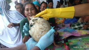 penampakan-tengkorak-manusia-yang-ditemukan-dekat-pantai-margejek.jpg
