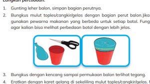soal-Ilmu-Pengetahuan-Alam-dan-Sosial-Kurikulum-Merdeka-Kelas-5-SD-MI-Bab-1-halaman-30.jpg