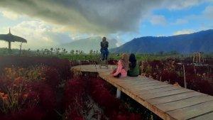 taman-bunga-kedai-sawah.jpg