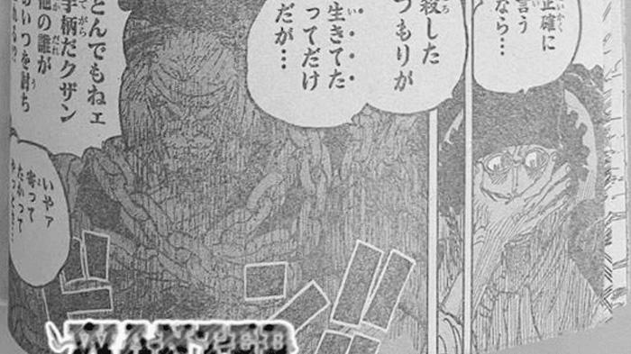 Monkey-D-Garp-Kuzan-Manga-One-Piece-Chapter-1126.jpg