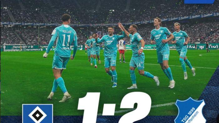 PEMAIN-HOFFENHEIM-DAN-HAMBURGER-SV.jpg