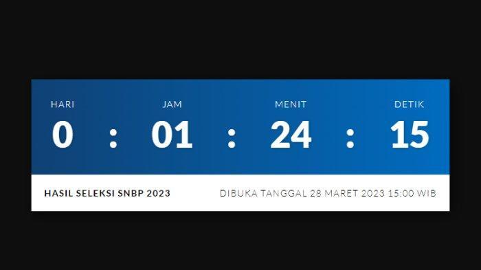 Pengumuman SNBP 2023 di snpmb.bppp.kemdikbud.go.id Susah Diakses? Berikut 38 Link Alternatifnya