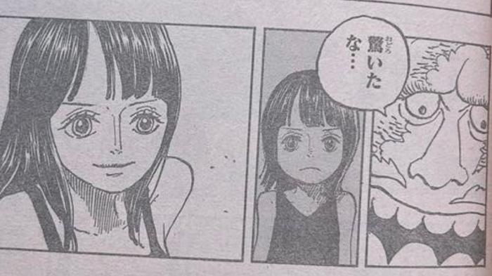 Robin-dan-Saul-Raw-Manga-One-Piece-Chapter-1133-Bahasa-Indonesia.jpg