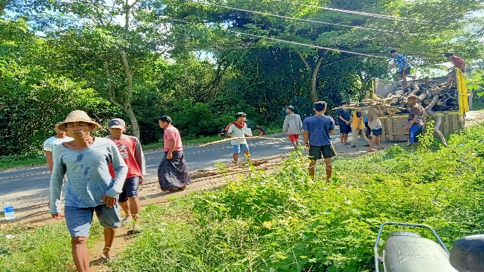 Mengenal Ngajuq, Tradisi Masyarakat Suku Sasak Lombok Kumpulkan Kayu Bahan Bahan Bakar Resepsi