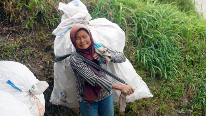 aktivitas-mbah-bingah-saat-memulung-sampah-para-pendaki.jpg
