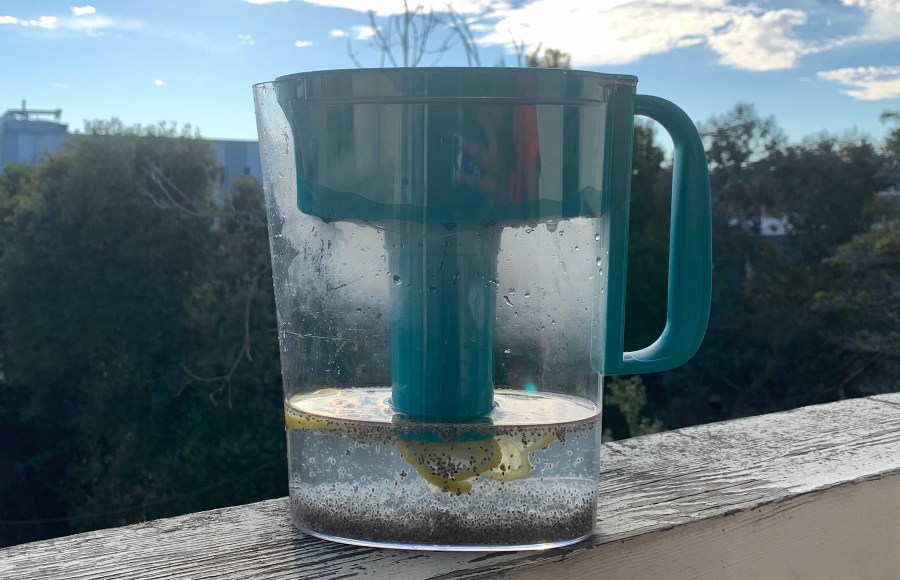 Resep Chia Seed Water Cocok Jadi Asupan saat Diet, Dapat Cegah Makan Berlebih