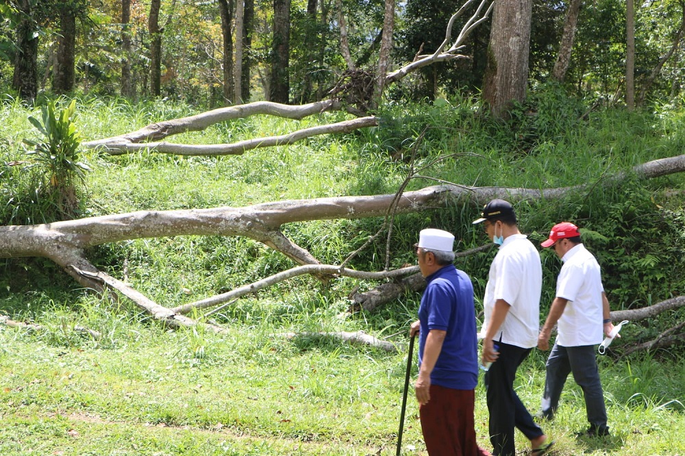 Gubernur NTB Optimis Tetebatu Menang di Kompetisi Desa Wisata Dunia 2021