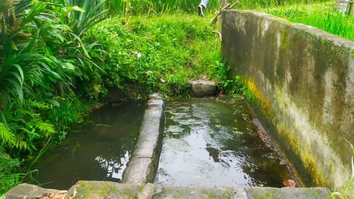 Warga Desa Kumbang Lombok Timur Digegerkan Penemuan Mayat Mengapung di Kolam Persawahan