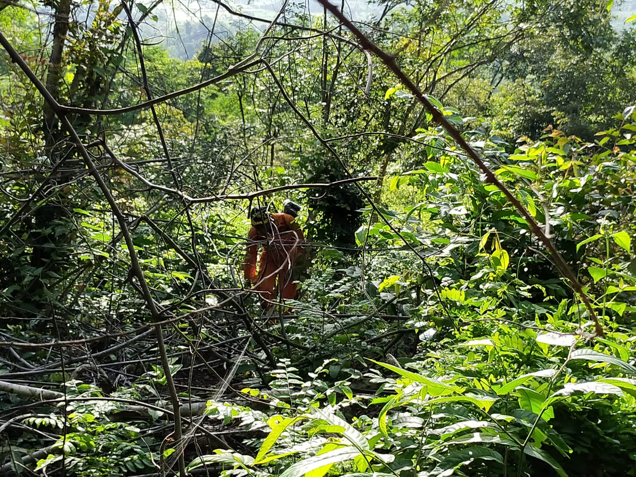 Kakek 72 Tahun di Bima Hilang saat Mencari Sapinya di Bukit Bakatula