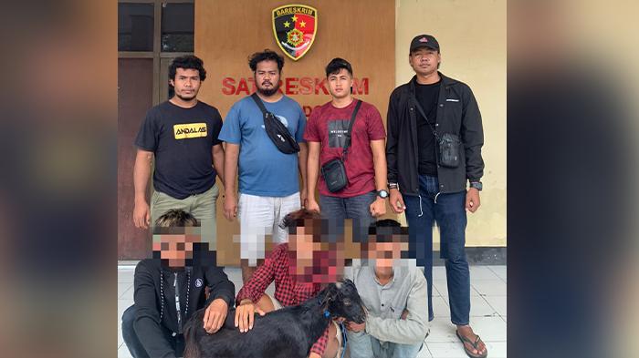 Akibat Tergiur Lihat Kambing Tidur Pinggir Jalan, 3 Pemuda di Dompu Meringkuk di Penjara