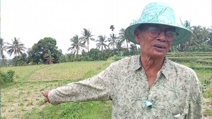petani_tembakau_suela_23002928.jpg