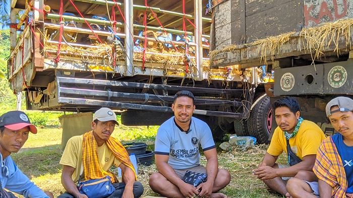 Peternak Antre di Pelabuhan Gili Mas Lombok Mulai Mengeluh Pasokan Air Bersih dan Pakan Sapi