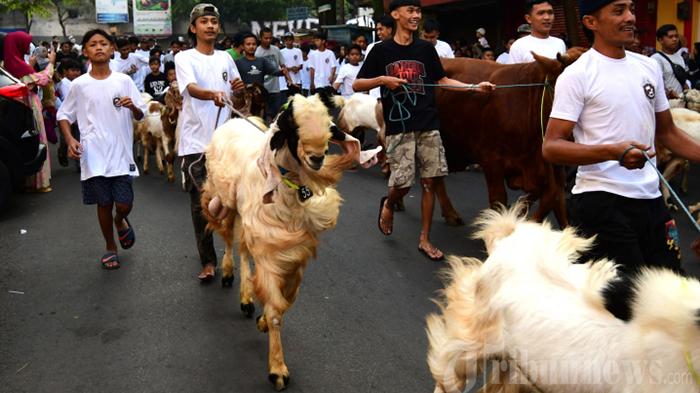 tradisi-arak-arakan-hewan-kurban-warga-sukoharjo-kota-malang_20220710_141750.jpg