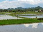 Aktifitas-petani-di-Kecamatan-Taliwang-saat-menggarap-lahan.jpg