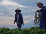 Dua-orang-petani-rumput-saat-panen-di-Desa-Kertasar.jpg
