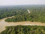 Hutan-Amazon.jpg