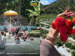 Rinjani-Waterpark-dan-Petik-Stroberi-Sembalun.jpg