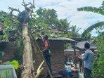 Rumah-Pohon-Tumbang.jpg