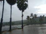 Sawah-di-Bima-terendam-banjir.jpg