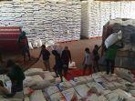 Stok-beras-yang-menumpuk-di-gudang-Bulog-Bima.jpg
