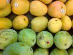 buah-mangga.jpg