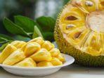 buah-nangka-ternyata-memiliki-banyak-manfaat-bagi-kesehatan.jpg
