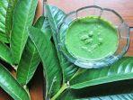daun-jambu-biji.jpg