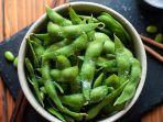 edamame-ilustrasi.jpg