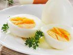 ilustrasi-telur-rebus.jpg