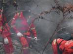 Kebakaran Lahan TNGR di Sembalun Tidak Mengganggu Pendakian