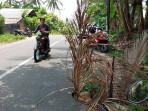 Kecelakaan Beruntun di Jalan Menuju Sembalun karena Jalan Berlubang, Sepeda Motor Hantam Mobil
