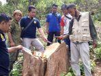 lacak-balak-illegal-logging-hutan-maria-bima.jpg
