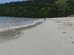 pantai-ai-lemak-hutan-rimbun-1.jpg