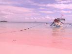 pantai-pink-di-kawasan-hutan-sekaroh-lombok-timur.jpg