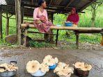 penjual-jamur.jpg