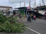 pohon-tumbang-selong-1jpg.jpg